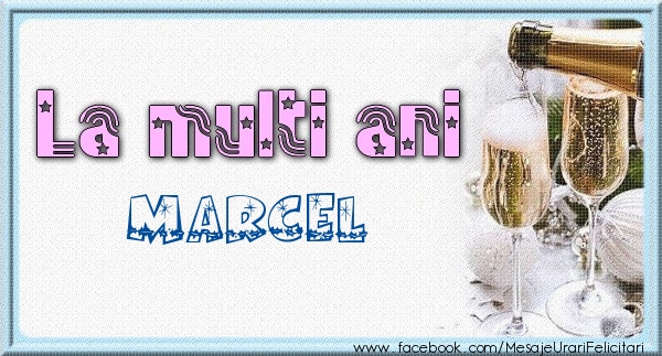 Felicitari de zi de nastere - Sampanie | La multi ani Marcel