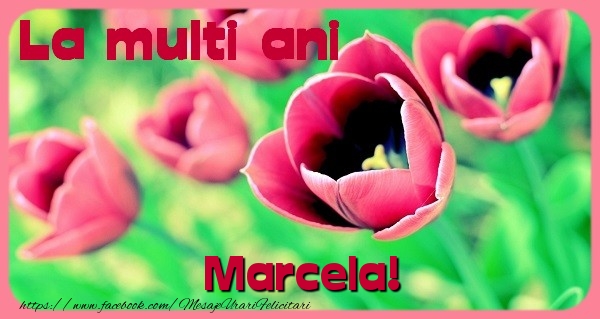 Felicitari de zi de nastere - Flori & Lalele | La multi ani Marcela
