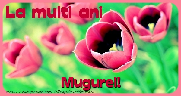 Felicitari de zi de nastere - Flori & Lalele | La multi ani Mugurel