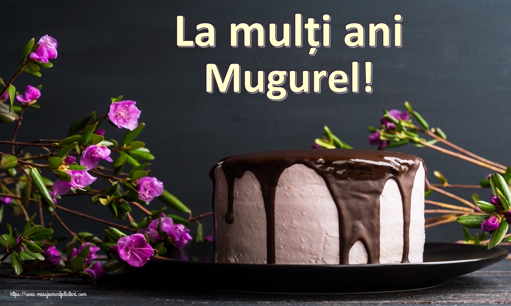  Felicitari de zi de nastere - Tort | La mulți ani Mugurel!