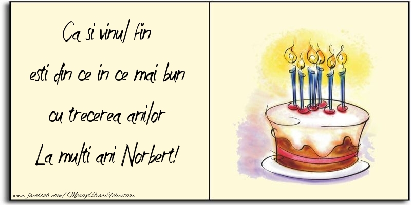 Felicitari de zi de nastere - Tort | Ca si vinul fin esti din ce in ce mai bun cu trecerea anilor Norbert