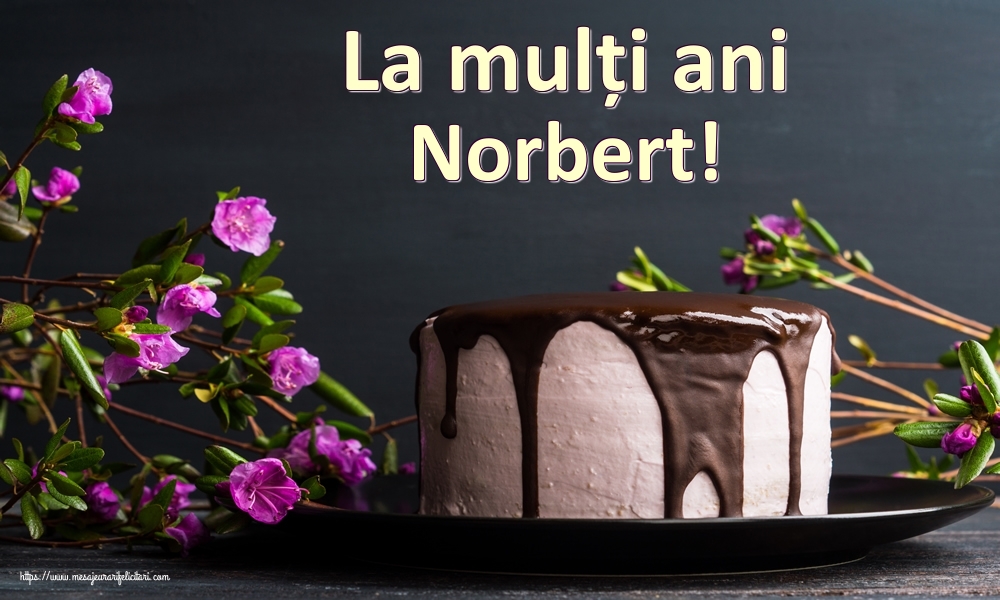  Felicitari de zi de nastere - Tort | La mulți ani Norbert!