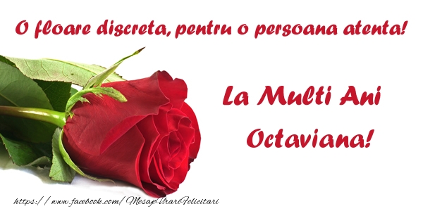  Felicitari de zi de nastere - Flori & Trandafiri | O floare discreta, pentru o persoana atenta! La multi ani Octaviana!