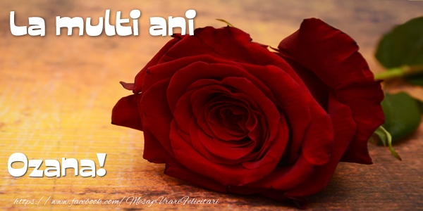  Felicitari de zi de nastere - Flori & Trandafiri | La multi ani Ozana!