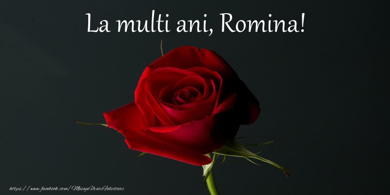 Felicitari de zi de nastere - La multi ani Romina!