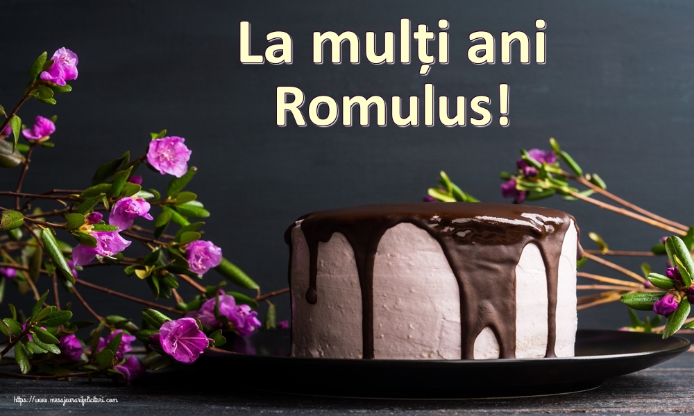  Felicitari de zi de nastere - Tort | La mulți ani Romulus!