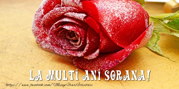  Felicitari de zi de nastere - Flori & Trandafiri | La multi ani Sorana!