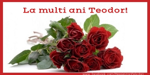  Felicitari de zi de nastere - Flori & Trandafiri | La multi ani Teodor!