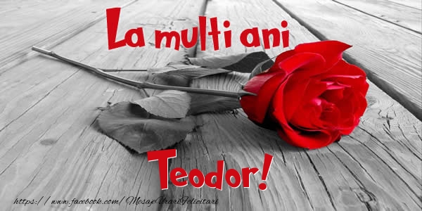  Felicitari de zi de nastere - Flori & Trandafiri | La multi ani Teodor!