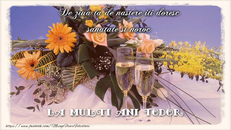  Felicitari de zi de nastere - Flori & Sampanie | La multi ani Todor.De ziua ta de nastere iti doresc sanatate si noroc