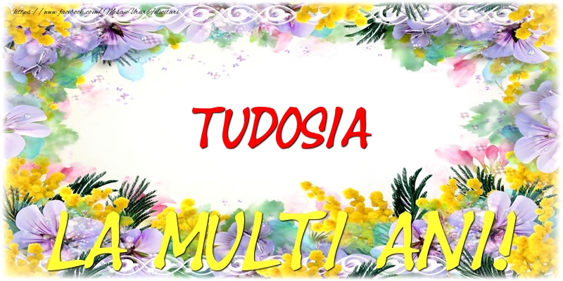 Felicitari de zi de nastere - Tudosia La multi ani!