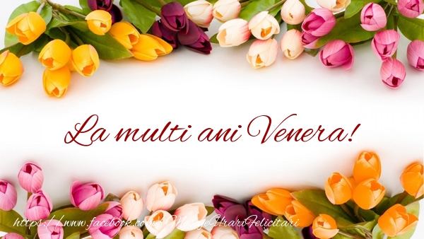  Felicitari de zi de nastere - Flori & Lalele | La multi ani Venera!