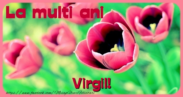 Felicitari de zi de nastere - Flori & Lalele | La multi ani Virgil