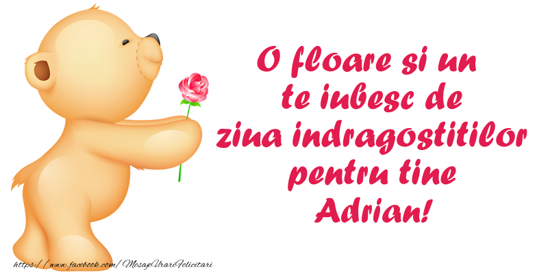  Felicitari Ziua indragostitilor - Ursuleti | O floare si un te iubesc de ziua indragostitilor pentru tine Adrian!