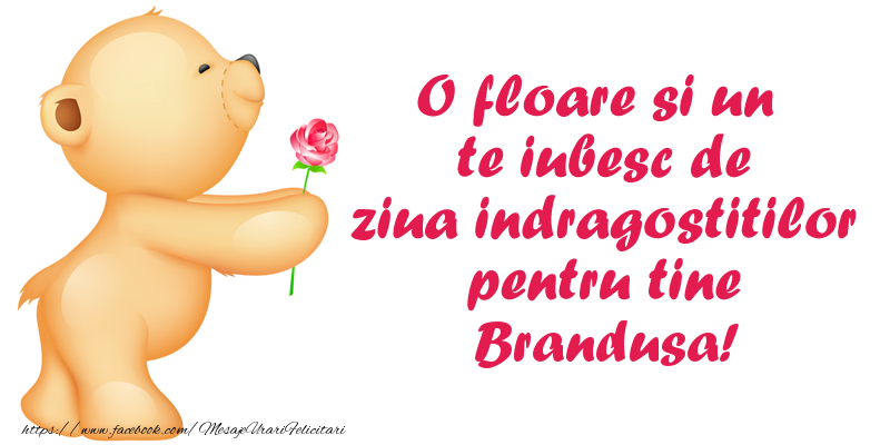  Felicitari Ziua indragostitilor - Ursuleti | O floare si un te iubesc de ziua indragostitilor pentru tine Brandusa!