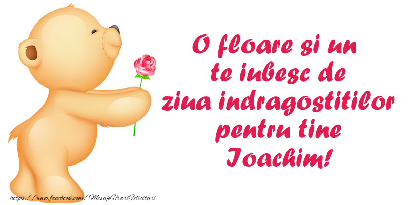 Felicitari Ziua indragostitilor - O floare si un te iubesc de ziua indragostitilor pentru tine Ioachim!