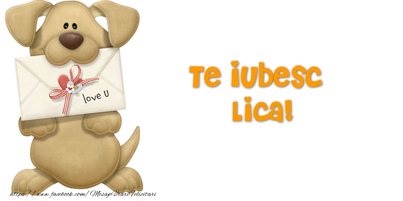 Felicitari Ziua indragostitilor - Te iubesc Lica!