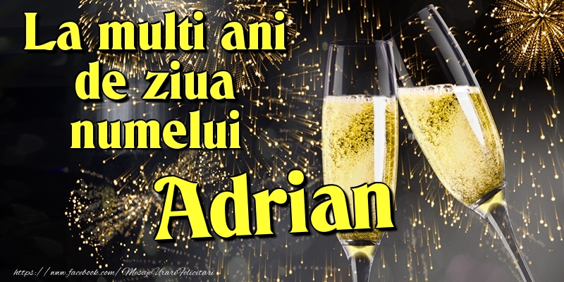 Felicitari de Ziua Numelui - Artificii & Sampanie | La multi ani de ziua numelui Adrian