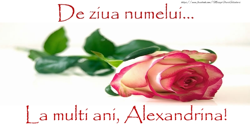  Felicitari de Ziua Numelui - Flori & Trandafiri | De ziua numelui... La multi ani, Alexandrina!