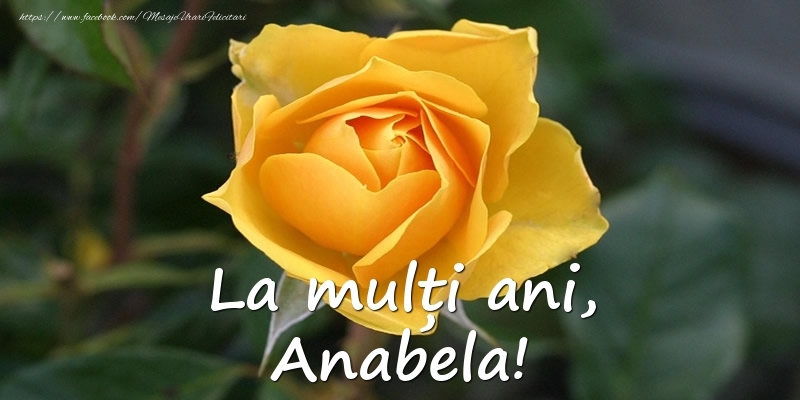  Felicitari de Ziua Numelui - Flori & Trandafiri | La mulți ani, Anabela!