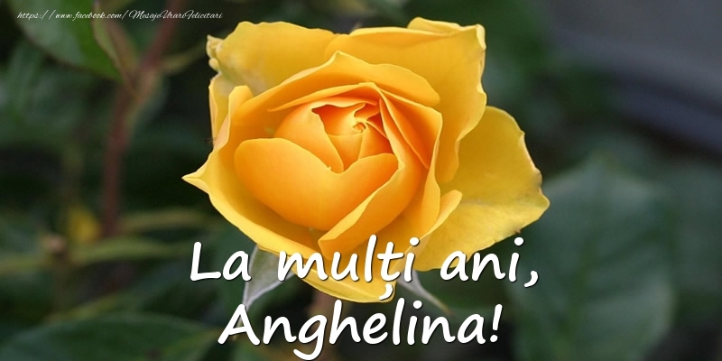 Felicitari de Ziua Numelui - Flori & Trandafiri | La mulți ani, Anghelina!