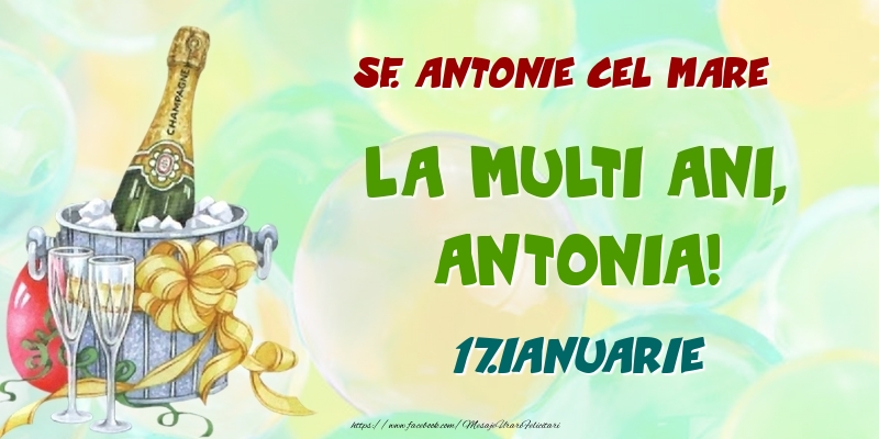  Felicitari de Ziua Numelui - Sampanie | Sf. Antonie cel Mare La multi ani, Antonia! 17.Ianuarie