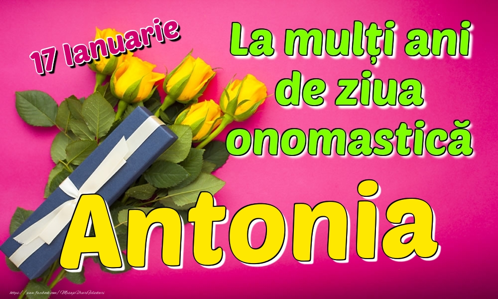  Felicitari de Ziua Numelui - Trandafiri | 17 Ianuarie - La mulți ani de ziua onomastică Antonia
