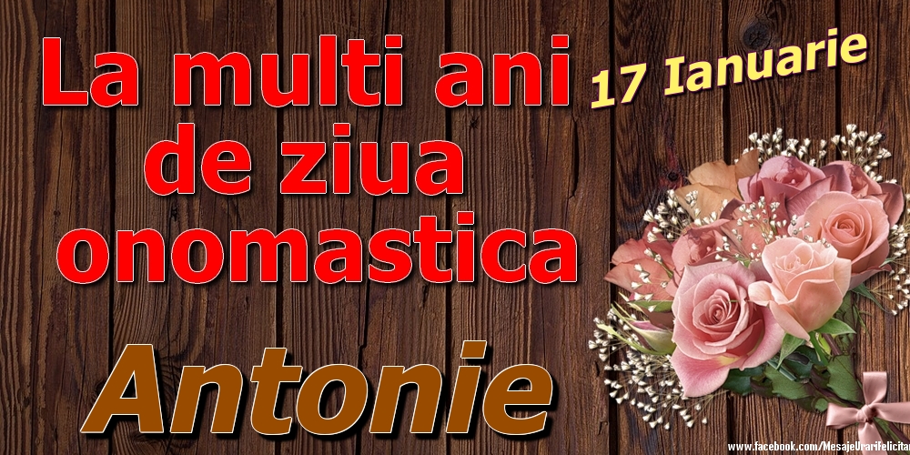 Felicitari de Ziua Numelui - Trandafiri | 17 Ianuarie - La mulți ani de ziua onomastică Antonie