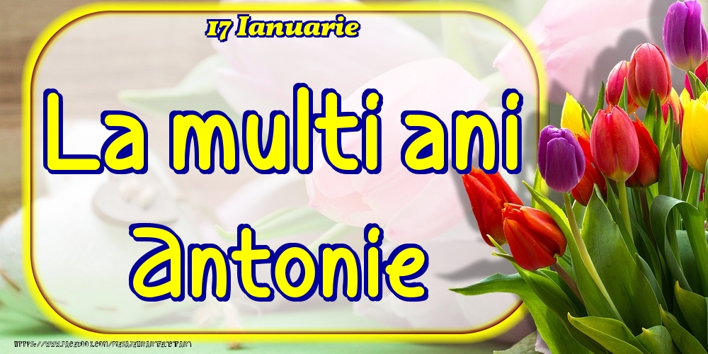  Felicitari de Ziua Numelui - Lalele | 17 Ianuarie -La  mulți ani Antonie!