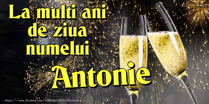  Felicitari de Ziua Numelui - Artificii & Sampanie | La multi ani de ziua numelui Antonie