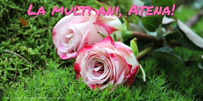  Felicitari de Ziua Numelui - Flori & Trandafiri | La multi ani, Atena!