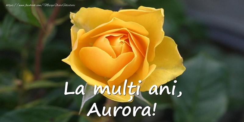  Felicitari de Ziua Numelui - Flori & Trandafiri | La mulți ani, Aurora!