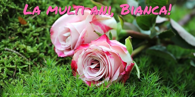  Felicitari de Ziua Numelui - Flori & Trandafiri | La multi ani, Bianca!