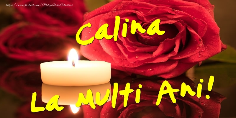  Felicitari de Ziua Numelui - Flori & Trandafiri | Calina La Multi Ani!
