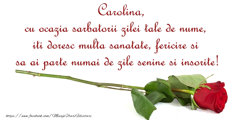 Felicitari de Ziua Numelui - Flori & Trandafiri | Carolina, cu ocazia sarbatorii zilei tale de nume, iti doresc multa sanatate, fericire si sa ai parte numai de zile senine si insorite!