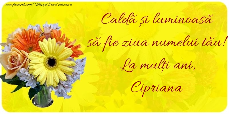  Felicitari de Ziua Numelui - Buchete De Flori | Caldă și luminoasă să fie ziua numelui tău! La mulți ani, Cipriana