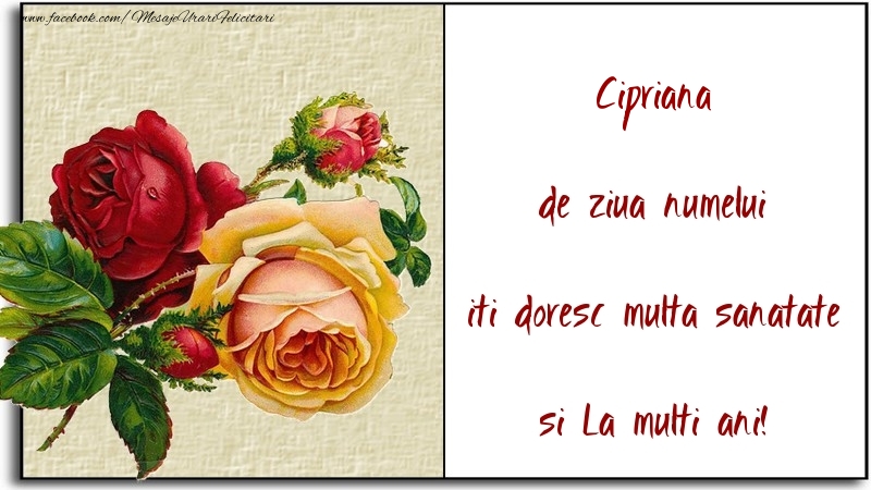 Felicitari de Ziua Numelui - Flori | de ziua numelui iti doresc multa sanatate si La multi ani! Cipriana