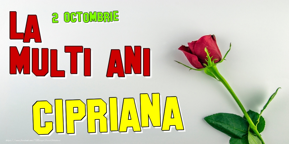  Felicitari de Ziua Numelui - Trandafiri | 2 Octombrie -  -  La mulți ani Cipriana!