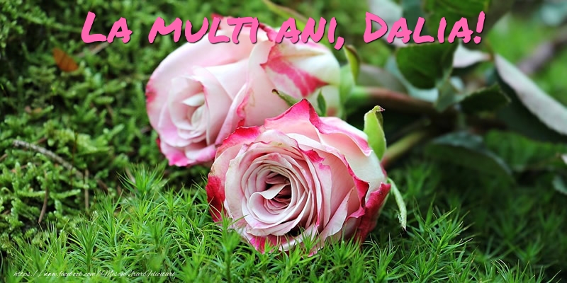  Felicitari de Ziua Numelui - Flori & Trandafiri | La multi ani, Dalia!