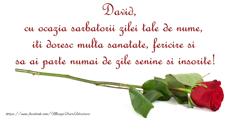  Felicitari de Ziua Numelui - Flori & Trandafiri | David, cu ocazia sarbatorii zilei tale de nume, iti doresc multa sanatate, fericire si sa ai parte numai de zile senine si insorite!
