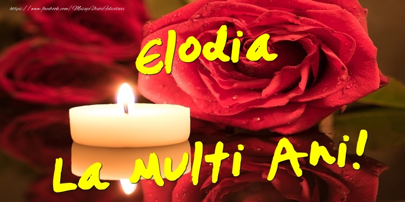  Felicitari de Ziua Numelui - Flori & Trandafiri | Elodia La Multi Ani!