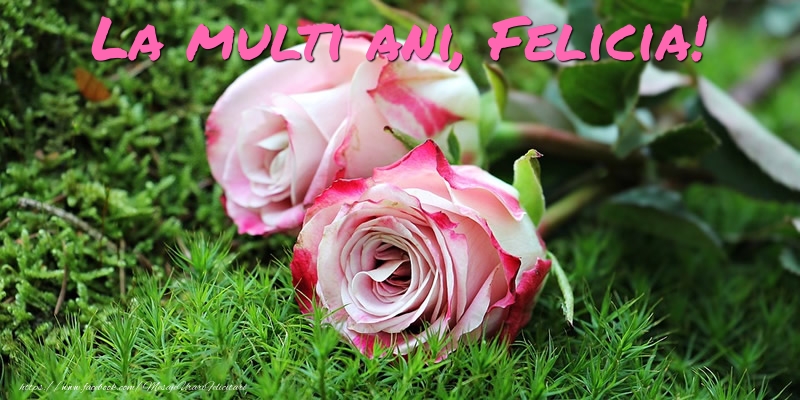  Felicitari de Ziua Numelui - Flori & Trandafiri | La multi ani, Felicia!