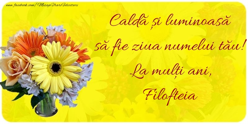  Felicitari de Ziua Numelui - Buchete De Flori | Caldă și luminoasă să fie ziua numelui tău! La mulți ani, Filofteia