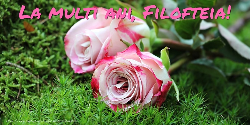 Felicitari de Ziua Numelui - Flori & Trandafiri | La multi ani, Filofteia!