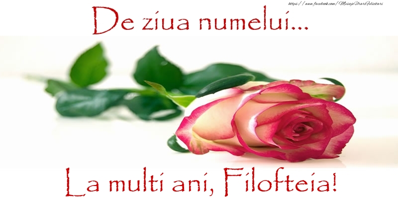 Felicitari de Ziua Numelui - Flori & Trandafiri | De ziua numelui... La multi ani, Filofteia!