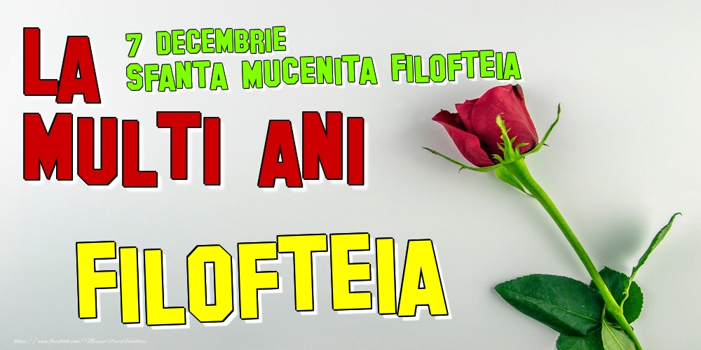 Felicitari de Ziua Numelui - Trandafiri | 7 Decembrie - Sfanta Mucenita Filofteia -  La mulți ani Filofteia!