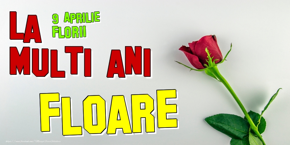  Felicitari de Ziua Numelui - Trandafiri | 9 Aprilie - Florii -  La mulți ani Floare!