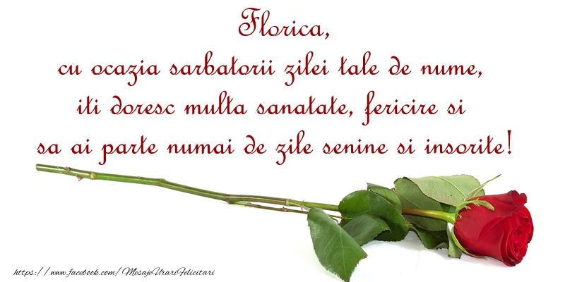  Felicitari de Ziua Numelui -  Florica, cu ocazia sarbatorii zilei tale de nume, iti doresc multa sanatate, fericire si sa ai parte numai de zile senine si insorite!