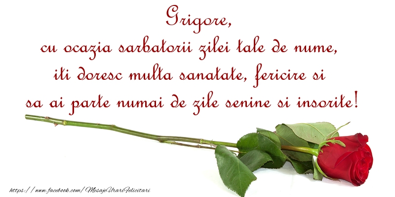  Felicitari de Ziua Numelui - Flori & Trandafiri | Grigore, cu ocazia sarbatorii zilei tale de nume, iti doresc multa sanatate, fericire si sa ai parte numai de zile senine si insorite!