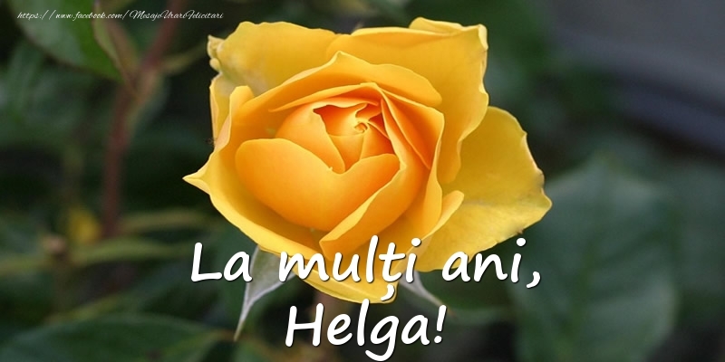 Felicitari de Ziua Numelui - Flori & Trandafiri | La mulți ani, Helga!